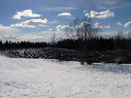 Oslo – Tryvann (Skimore)