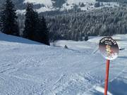 Steep entry to the Fuchs run