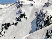 Freeride area below the DreiSeenBahn