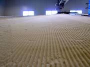 Groomed slope in SnowWorld Rucphen