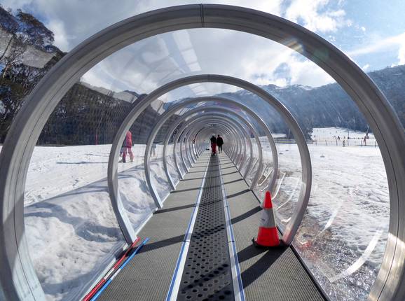 Freddie's Snow Runner