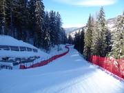 Rudi Reindeer Trail at the Rotwand