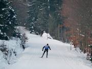 Summit cross-country trail at Ochsenkopf