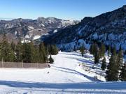 Black Ochsenboden-Direkt