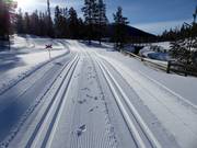 Trail in Tandådalen