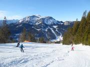 Intermediate FIS downhill run