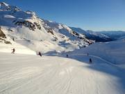 Descent in the Wilden Krimml