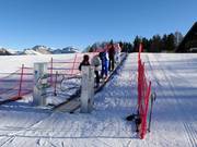 Conveyor belt Ciampedie