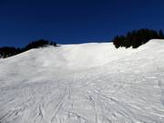 Mogul slope and powder slope from the Roßkopf to the Grünsee