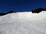 Mogul slope and deep-snow run from Roßkopf to Grünsee