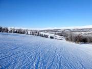 Slope No. 22 Solliftbacken