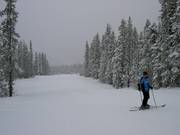Slope in the Timberline Summit Pass ski area