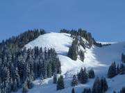 Freeride terrain at Aberg