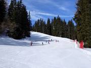 Easy slope Panorama