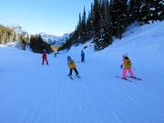 Children's ski course in the Sunshine Village ski resort