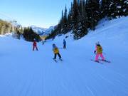 Children's ski course in the Sunshine Village ski area
