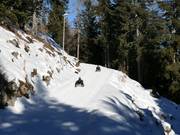 Tip for children  - Rosskopf toboggan run