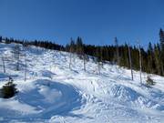 Mogul slope in the Trysil ski resort