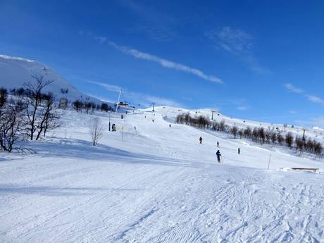 Slope offering Härjedalen – Slope offering Tänndalen