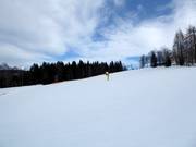 Birkenlift I and II downhill run