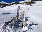 Magic Carpet (one of many in the ski area)