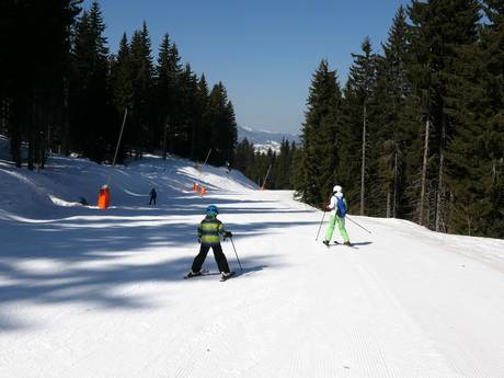 Ski resorts for beginners in Bulgaria – Beginners Pamporovo