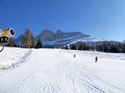 Slope No. 44 Paolina