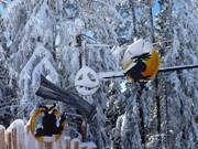 Tip for children  - Teufelsweg 