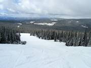 Blue Sapphire downhill run