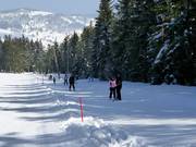 Haldenköpflelift 1 - T-bar