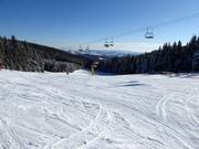 Easy slope Schwaigwiese No. 1