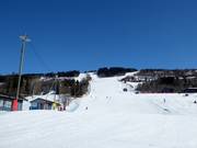 Lower section of the Hafjell slope/end of the Olympia downhill run