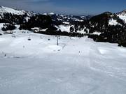 FIS slope