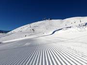 First-class slope grooming