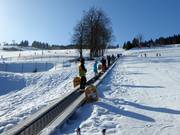 Winterpol Taśma Duża (WT2) - People mover/Moving Carpet