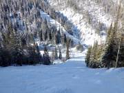 Challenging mogul slope on the backside