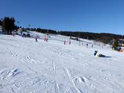 Easy and wide slopes in Zieleniec