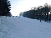 Intermediate slope at the Hirtenteich lift