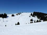 View of the Leite slope No. 23c