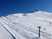 View of the gentle Almwiese