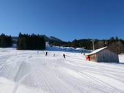 Main and floodlit slope