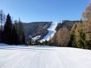 View of the Martinella Nord slope No. 10