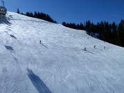 Wide slope at the Wastlhöhe