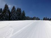 Perfectly groomed slopes