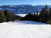 Valley run to Fügen