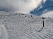 Mogul slope at Mont Joux
