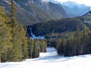 Intermediate slope Ray's Run