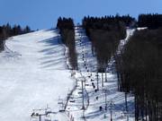 05 Alera Group Competition Lift - T-bar