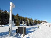 Telecorde III - Rope tow/baby lift with low rope tow