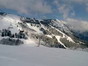 The forest runs at Prarion